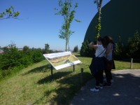 /album/o-ambiente-natural-como-laboratorio/p1060038-jpg/