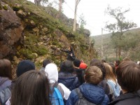 /album/o-ambiente-natural-como-laboratorio/p1060830-jpg/