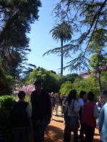 /album/o-ambiente-natural-como-laboratorio/p1070166-jpg/