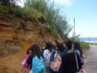 /album/o-ambiente-natural-como-laboratorio/p1070616-jpg/