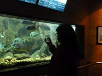 /album/o-ambiente-natural-como-laboratorio/p1070650-jpg/