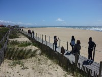 /album/o-ambiente-natural-como-laboratorio/p1070683-jpg/