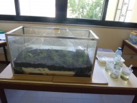 /album/o-ambiente-natural-como-laboratorio/p1070735-jpg/